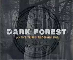 Warren Deep - Dark Forest (Native Tribe’s Re-Defined Afro Remix) ft. Thexy LX, Jay Afro